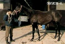 Ű�Ŀ� (KEY POWER) ����