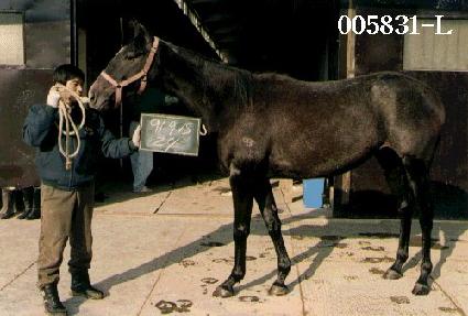 Ű�Ŀ� ����