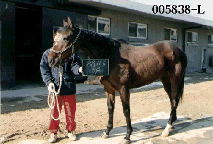 ĥ��ȣ ����