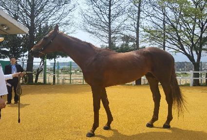 ���޳�ȣ��� ����