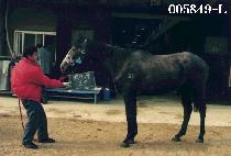 ���� (BEUB WANG) ����