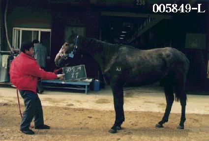 ���� ����