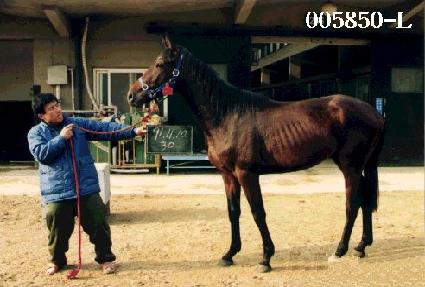 ��Ծ� ����