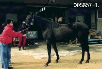 �������� (KEUM EUN JIN JOO) ����