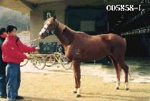 ���� (BYUL LA) ����