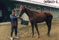 ù�� (CHEUT BAL) ����