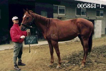 ������ ����