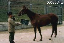 ������ (DAE CHAN YANG) ����