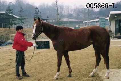 �ݰ�ȣ ����