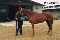 ���ٻ� (YEUN DA SAN) ����