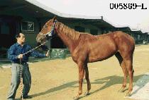 ��� (NONG KYOUNG) ����