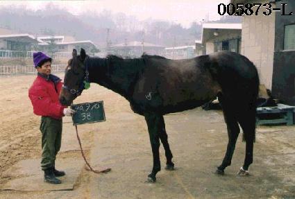 Ȧ�ƿ� ����