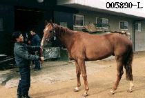 ŸŰ�� (TARKET ON) ����