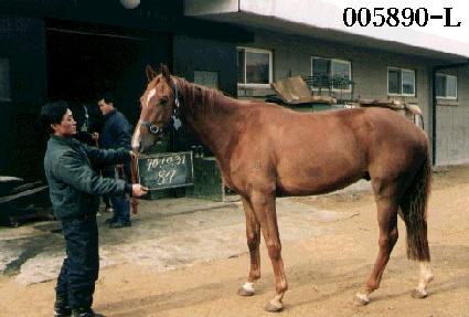 ŸŰ�� ����