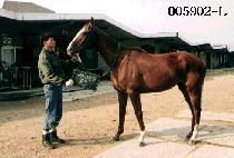 ���ɽ�Ʈ�� (ORCHESTRA) ����