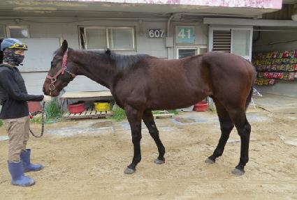 �̽�Ʈ��ġ ����