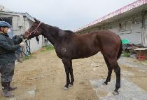 ������ġ (SOUTHERN BEACH) ����