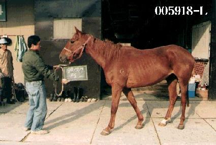 ��Ÿ�� ����