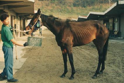 ũ������� ����