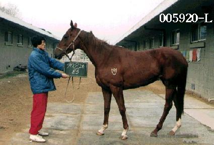 ���ô� ����