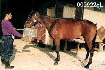 �밭�� ����