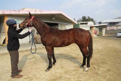 �����̾Ÿ ����