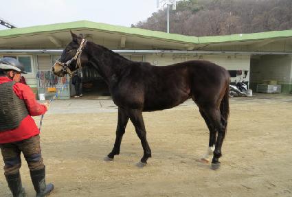 Ŭ���Ŀ��� ����