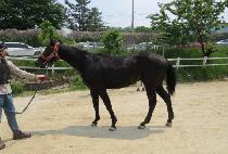 �����̺� (STAY BIG) ����