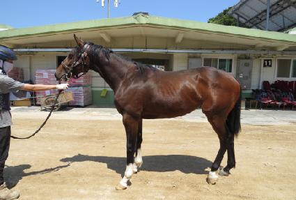 ȭ������ ����