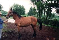 �������ڸ� ����