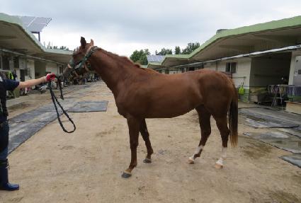 ī�캸���� ����