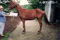 �ΰ߻��ڸ� ����