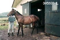 ����� (NOSUJEONG) ����