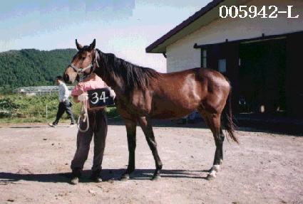 ���� ����