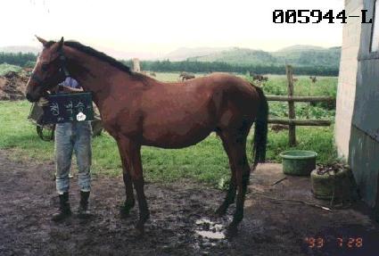 û����ڸ� ����