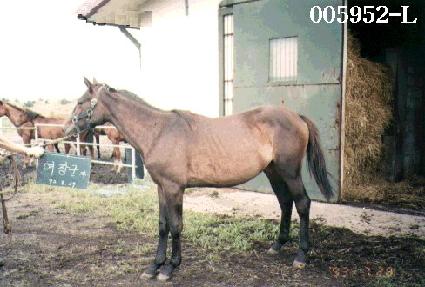 �뿩�� ����