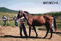 ���̾�Ʈ (DIET) ����