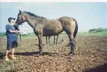 �主 (T��OMAL) ����