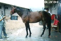 �¸��� (SEUNG RI GOOK) ����