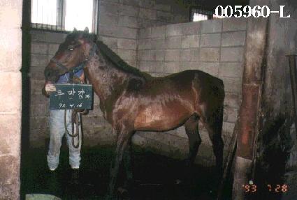 ����è�� ����