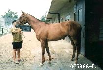 ���ϸ� (GU AM RI) ����