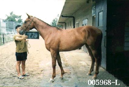 ���ϸ� ����