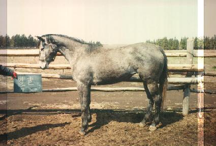 �巩�� ����