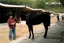 ����� (BAEKDAMGYEGOK) ����