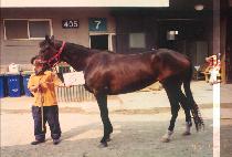 ��ǳ (YEOKPOONG) ����