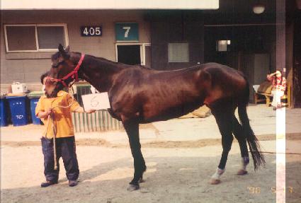 ��ǳ ����