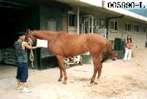 ��Ÿ�� (OCTAVE) ����