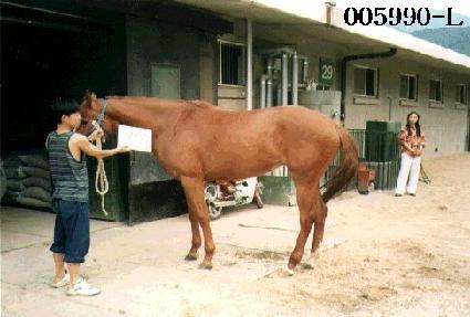 ��Ÿ�� ����