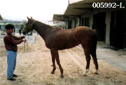 ���� ����