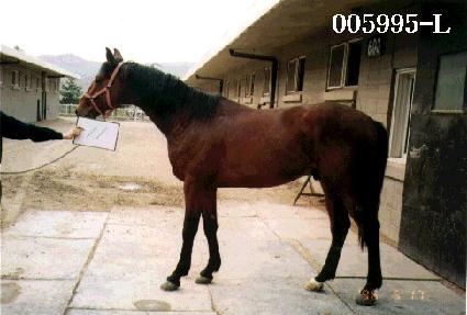 ���ī�� ����